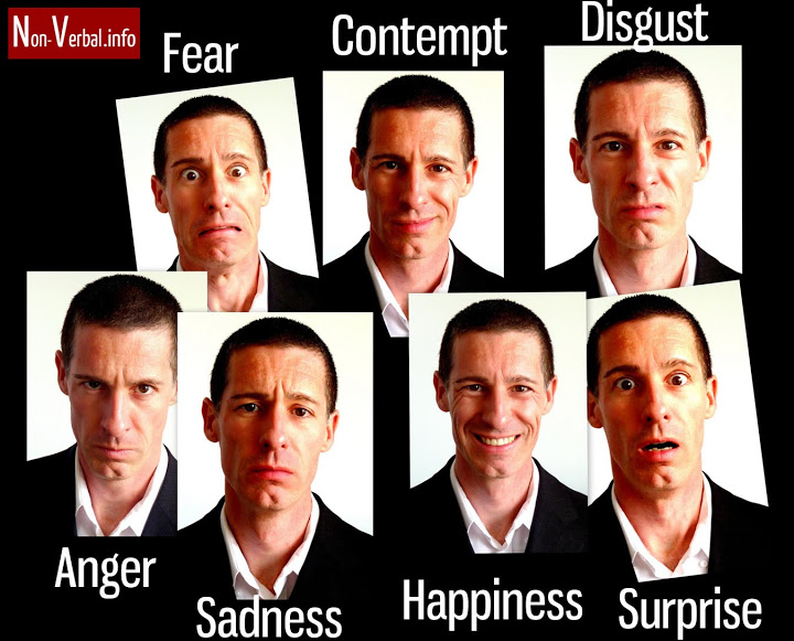 Expression pack 7 emotions